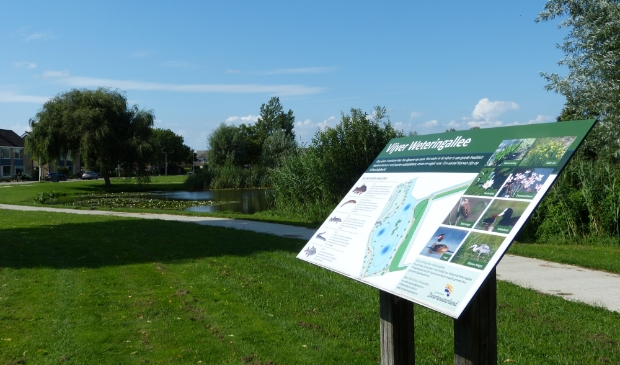 De mooie, groene omgeving van de vijver aan de Weteringallee wordt benut om in te richten als een wandel- en beweegpad voor jong en oud.