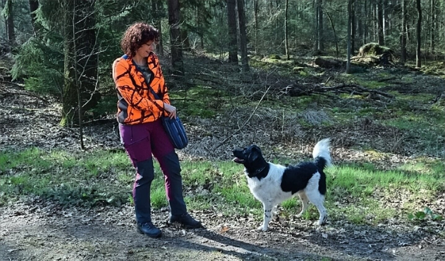 Frouwkje met haar Friese stabij Oeds