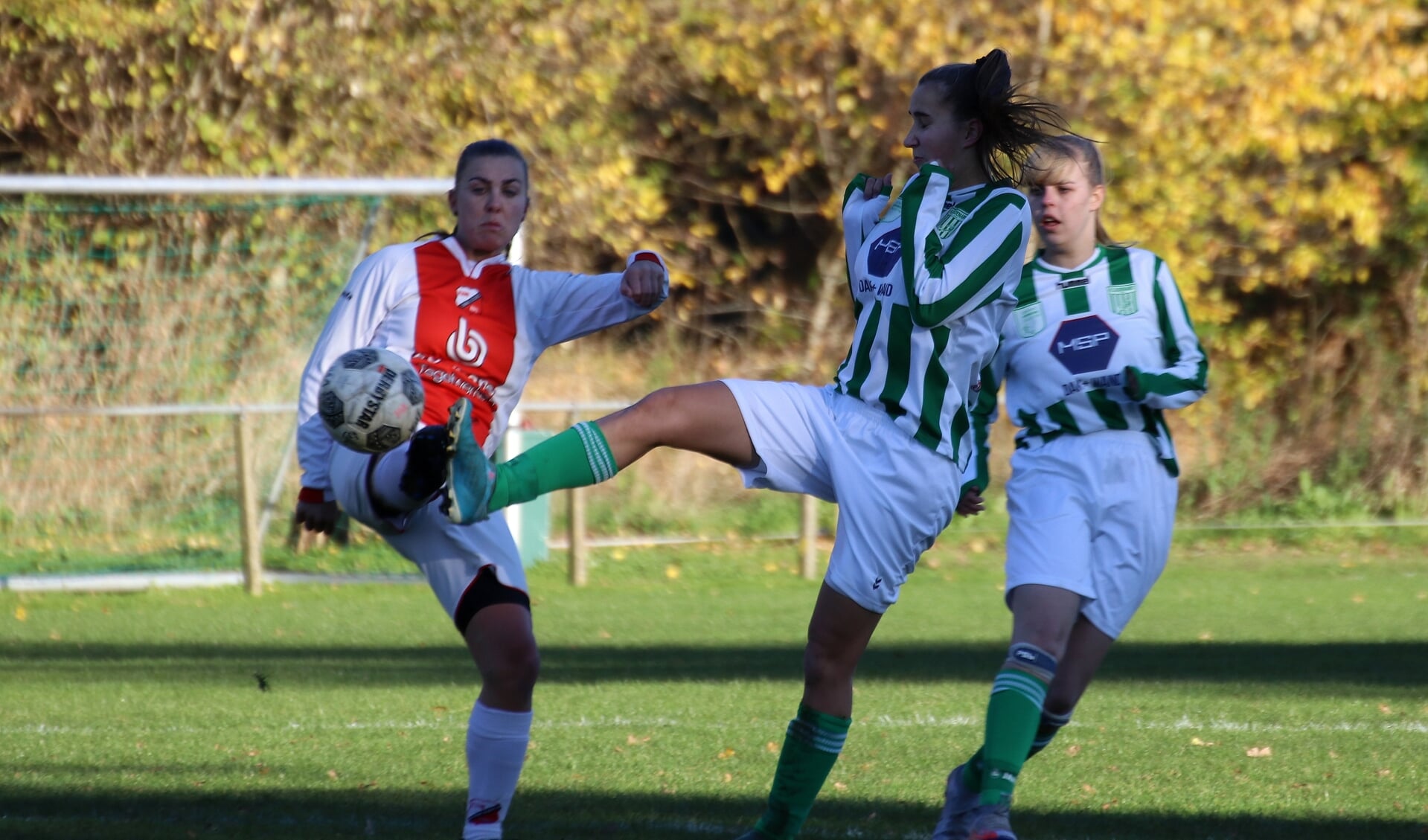 FC Oldemarkt V1 in gevecht om de bal met Flevo Boys