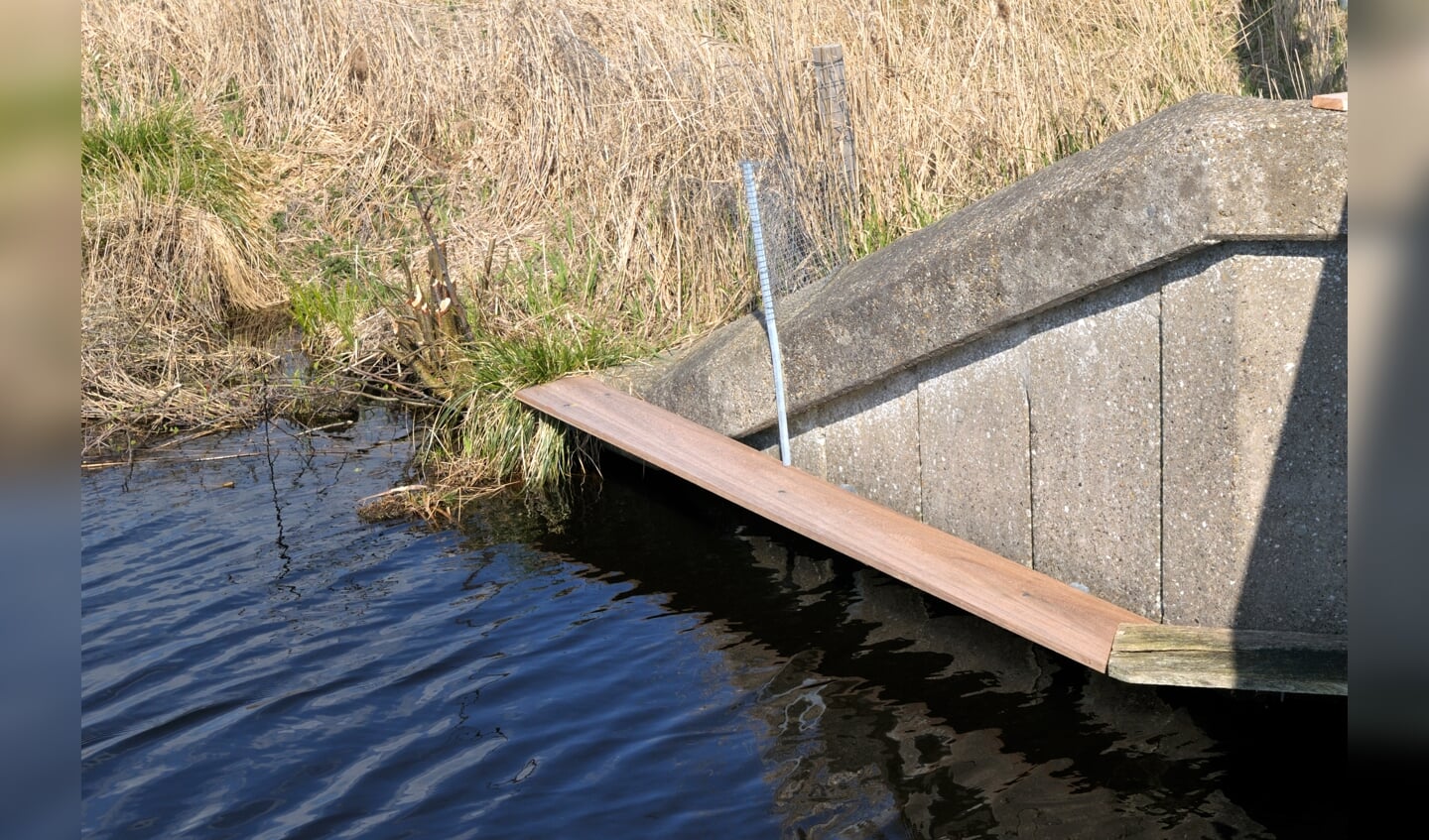 Otterplank bij duiker