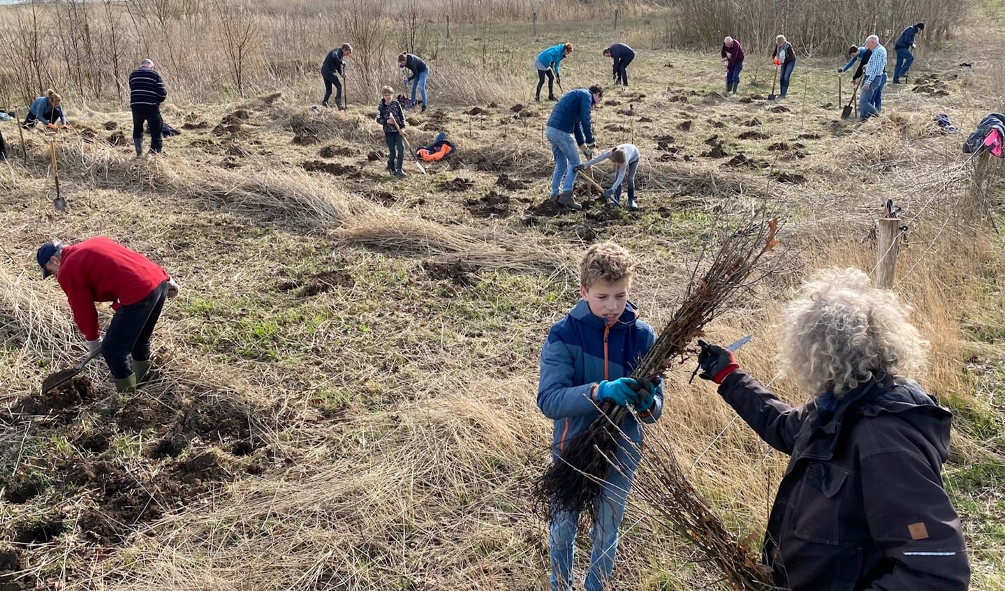 Vrijwilligers planten bomen en struiken in de Zwolse uiterwaarden