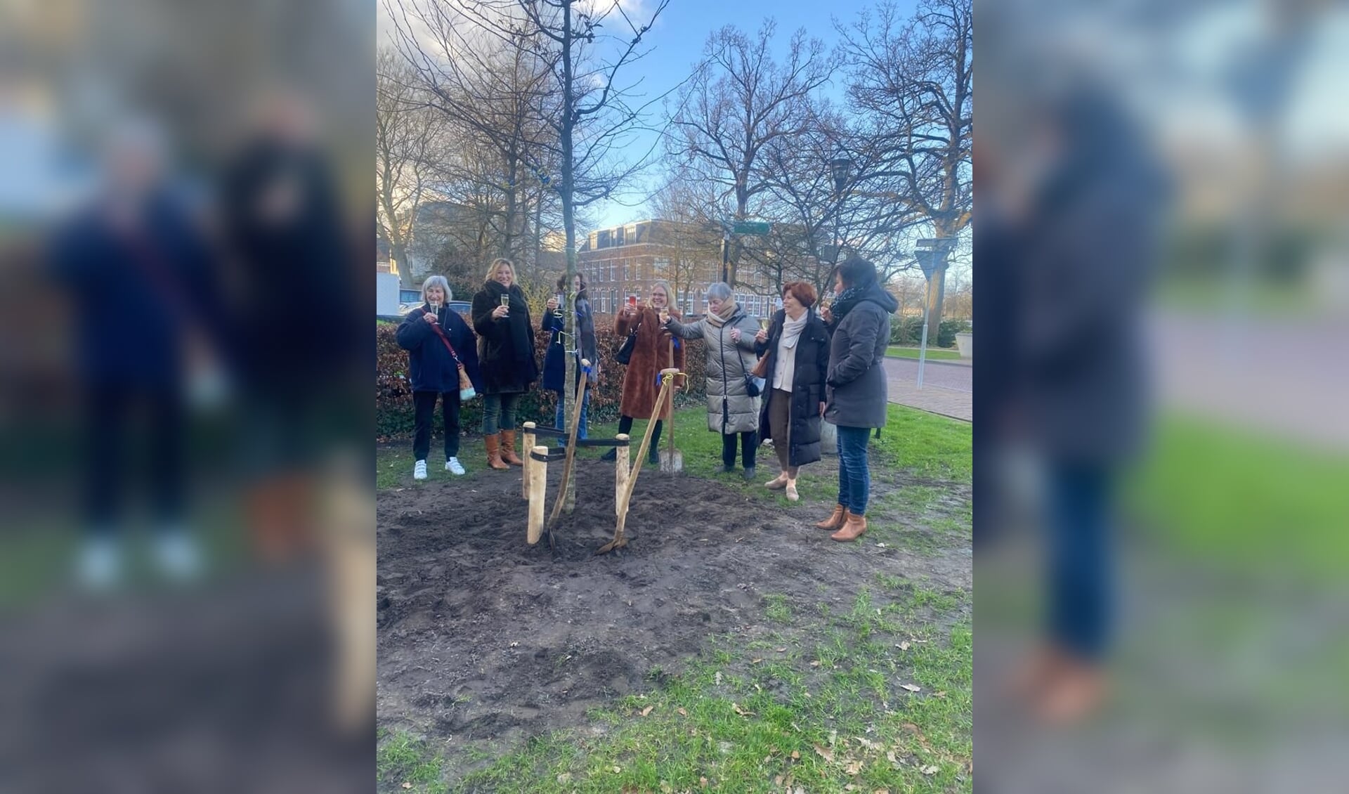 Soroptimistclub Zwolle brengt toost uit bij boomplanting tgv 85e verjaardag club 