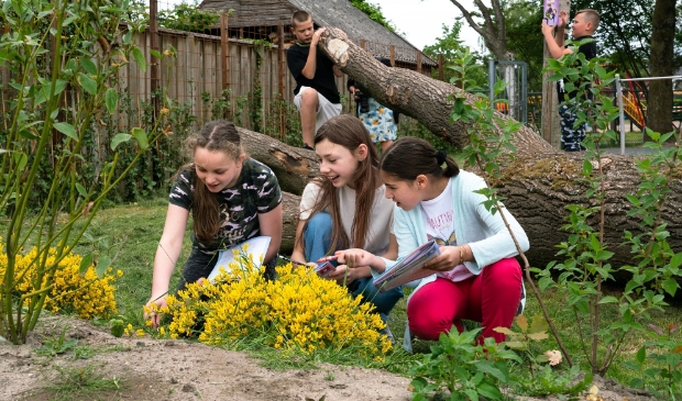 Leerlingen ontdekken wat er kruipt en leeft op hun groene schoolplein.
