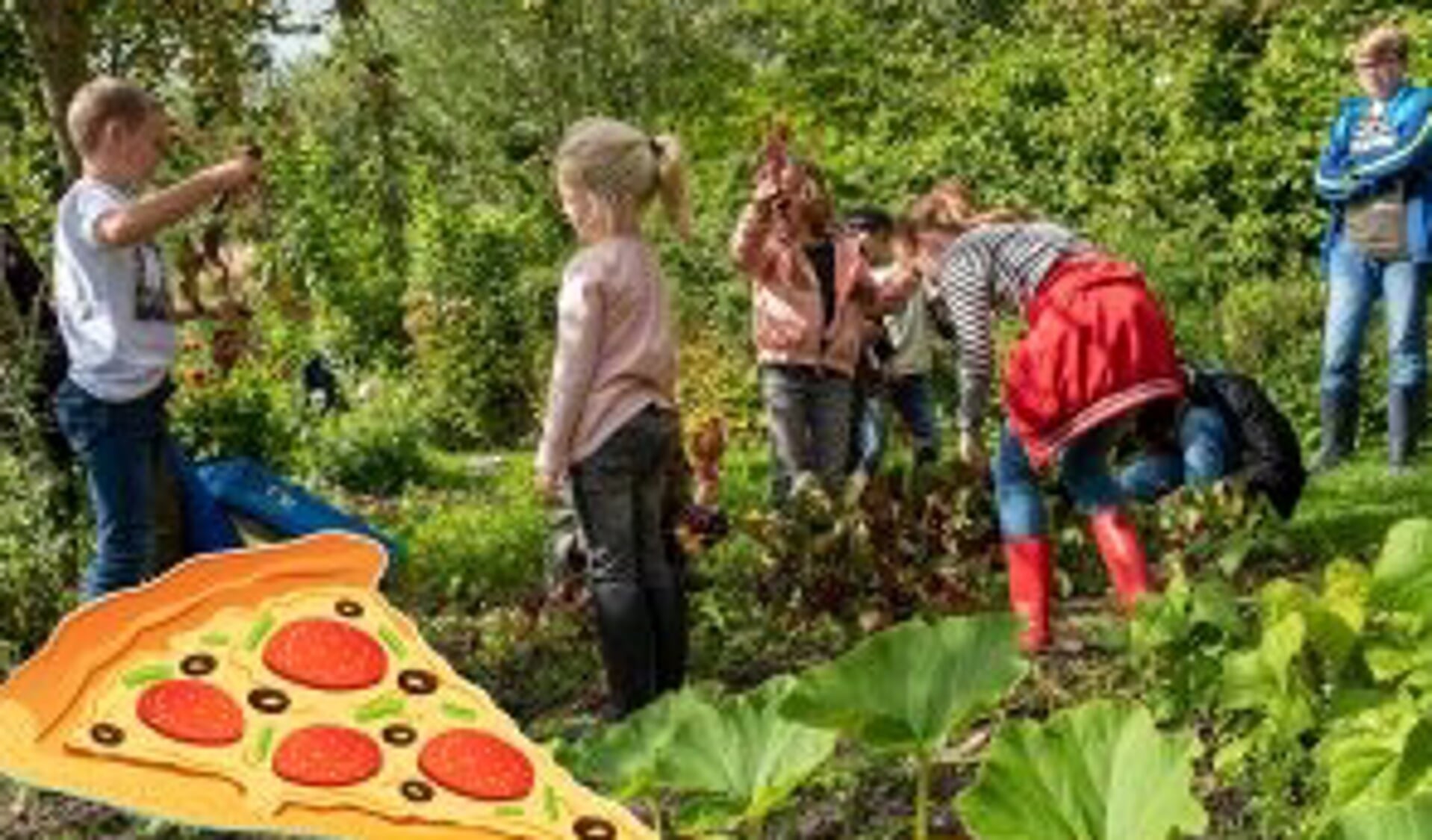 Pizzaspeurtocht bij kinderboerderij cantecleer 