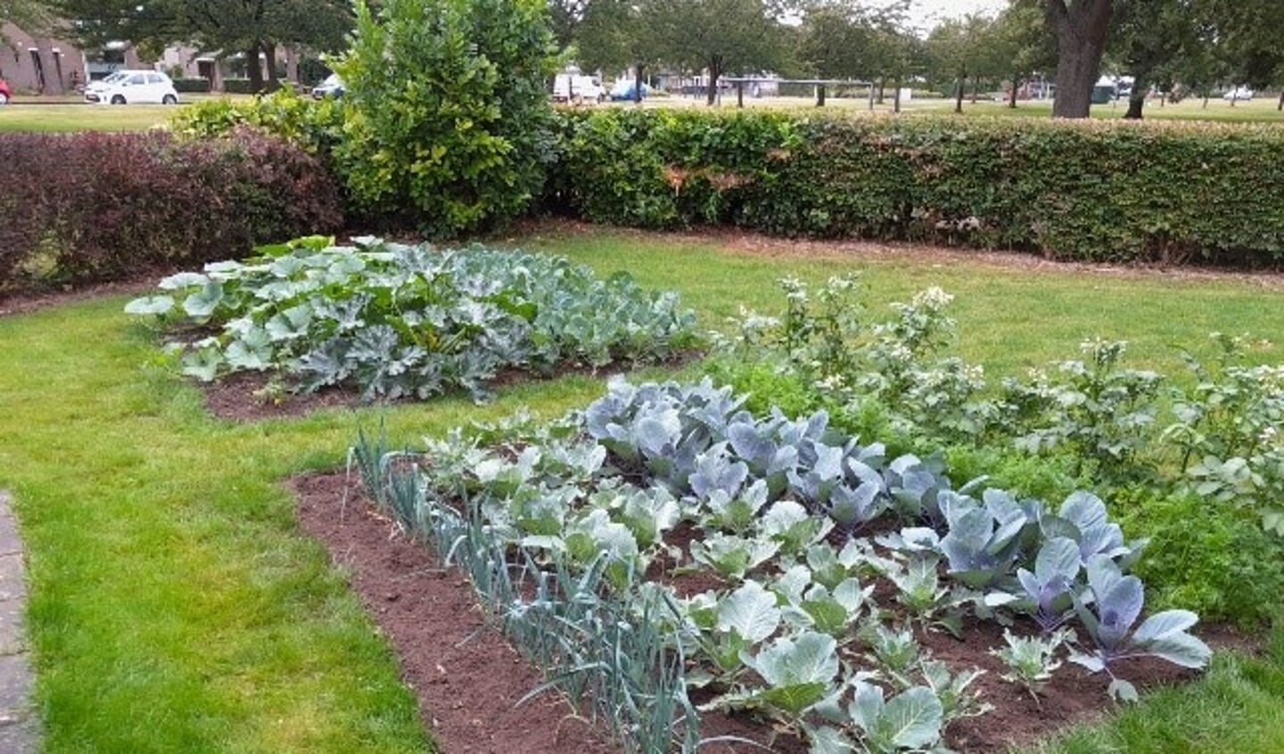 De Ontmoetingstuin