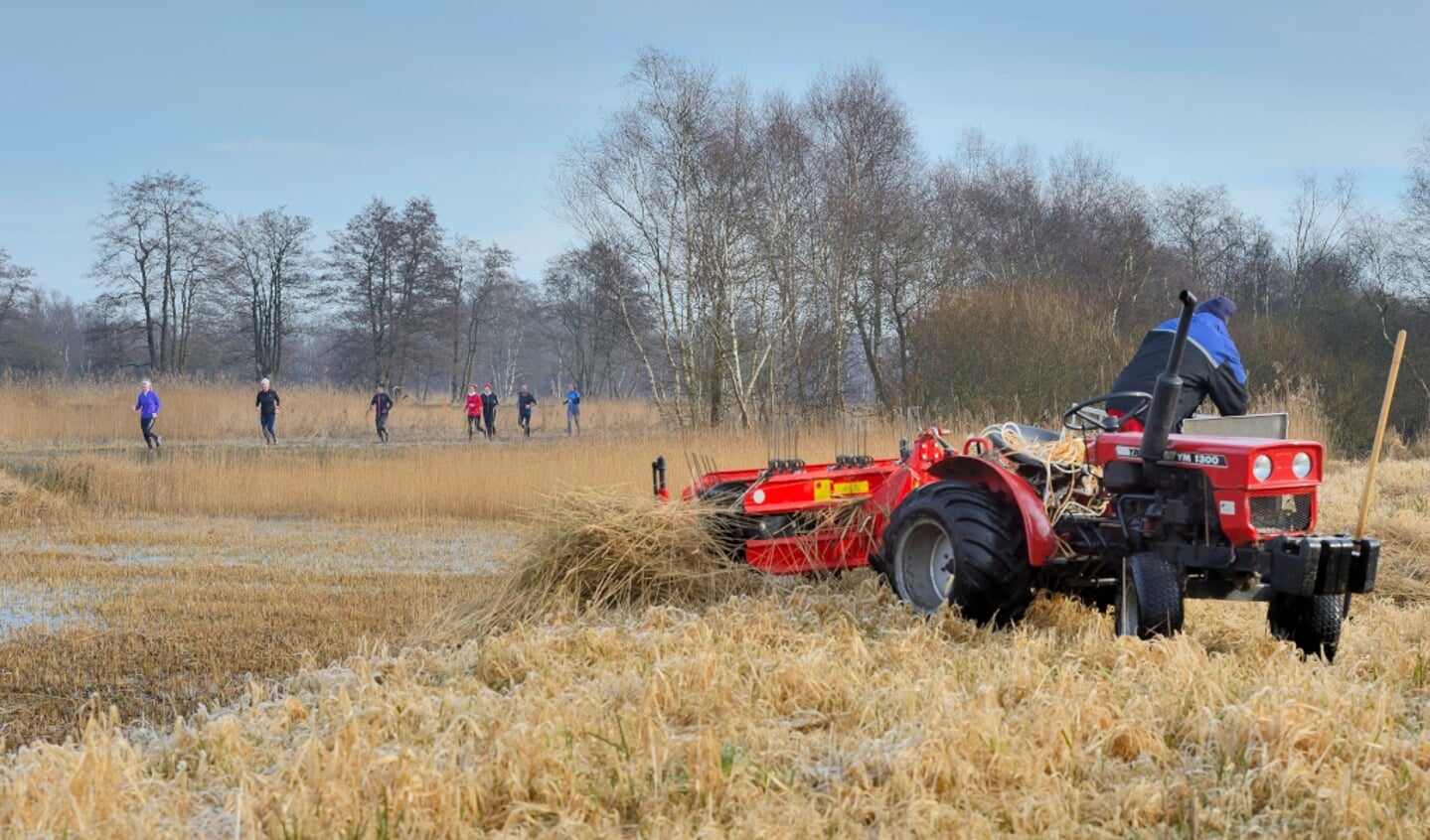 Vorige editie Rietsnijderstrail