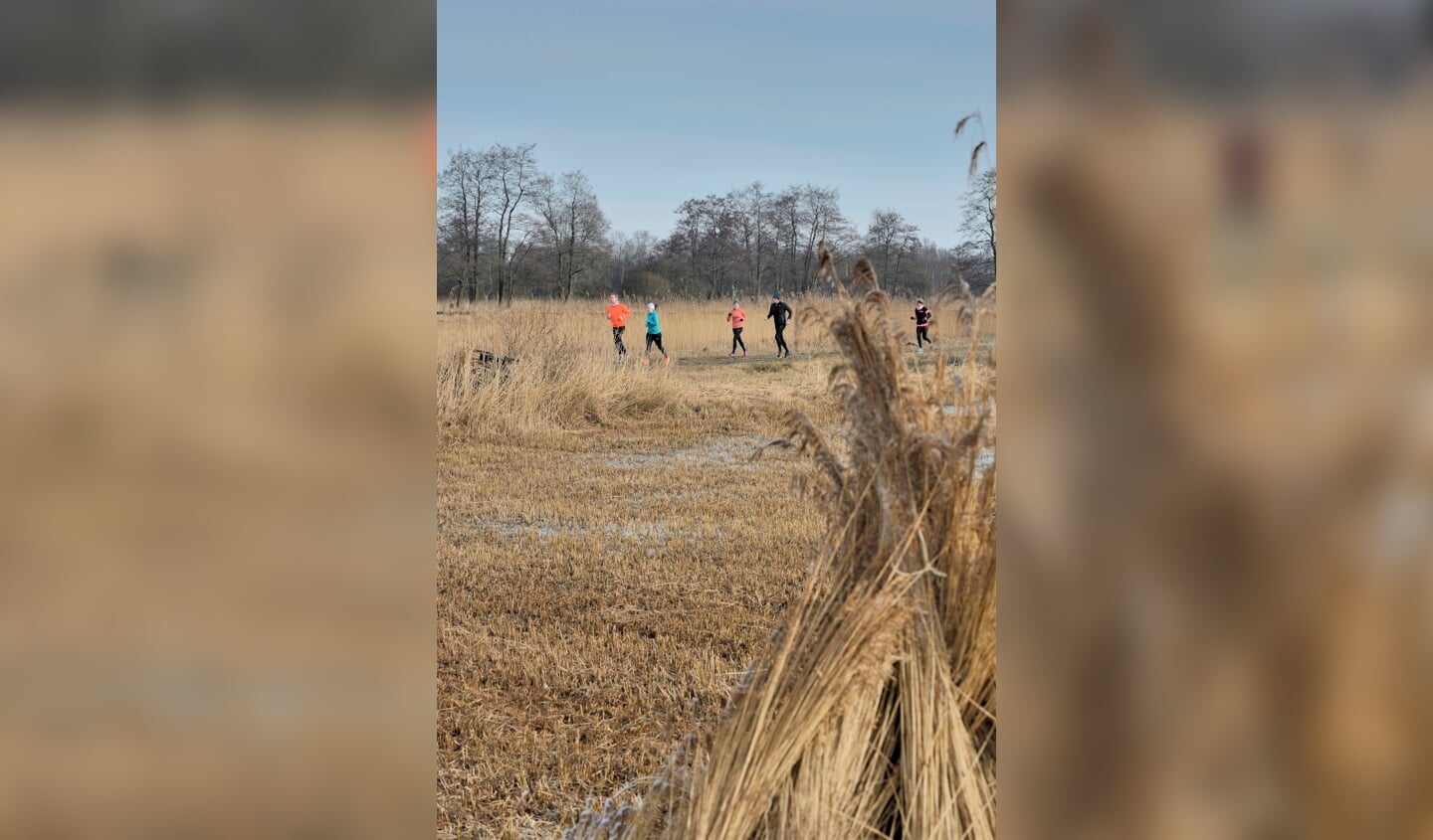 Vorige editie Rietsnijderstrail