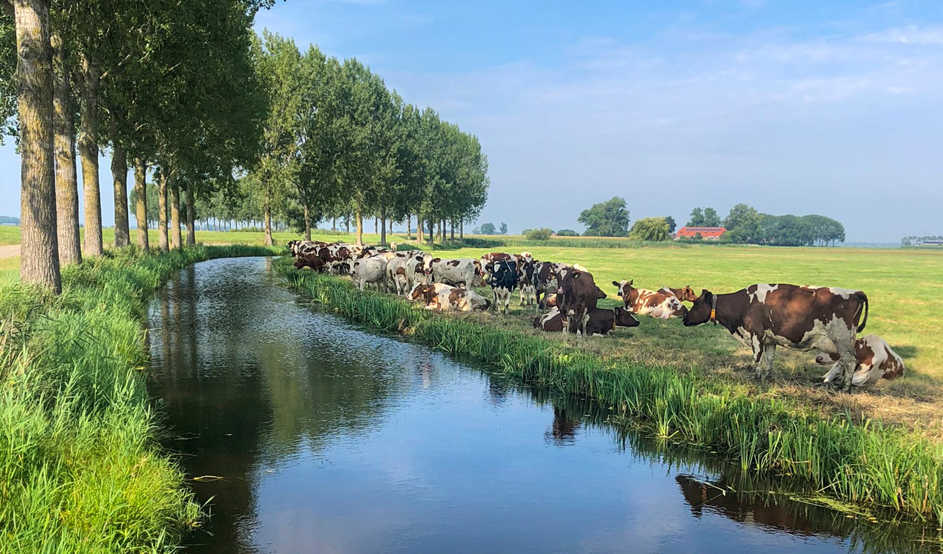 Kampereiland