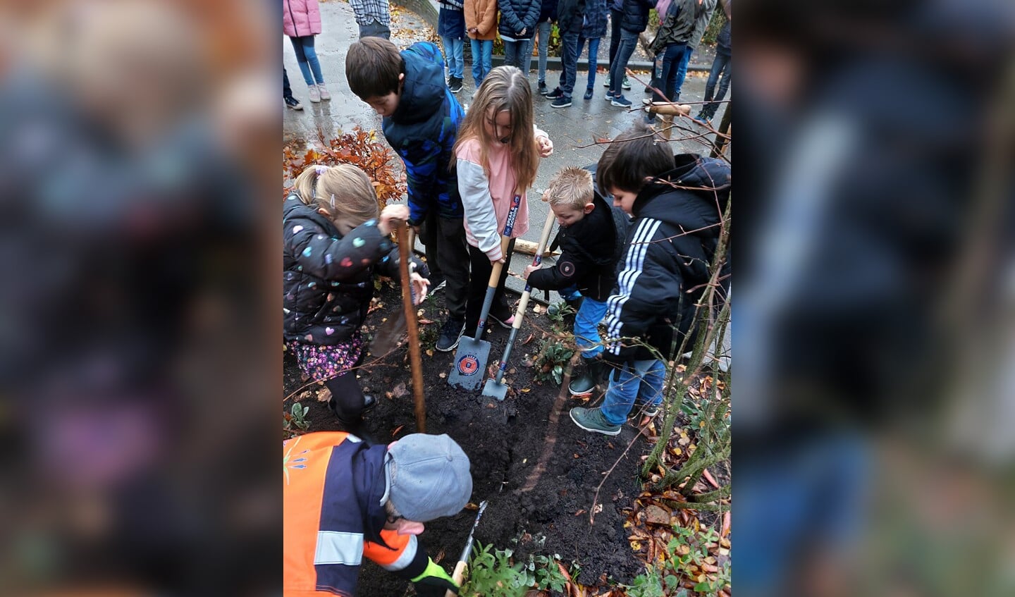 165 kinderen druk in de weer met het plaatsen van bomen.