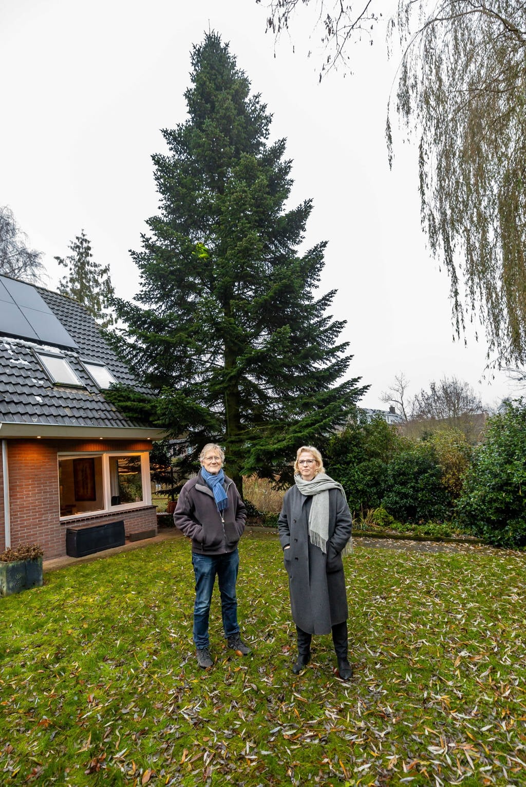 Grote Markt krijgt knoert van een kerstboom uit ZwolleZuid De Swollenaer Nieuws uit Zwolle