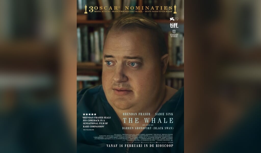 The Whale In Filmhuis Steenwijk - De Kop | Al Het Nieuws Uit ...