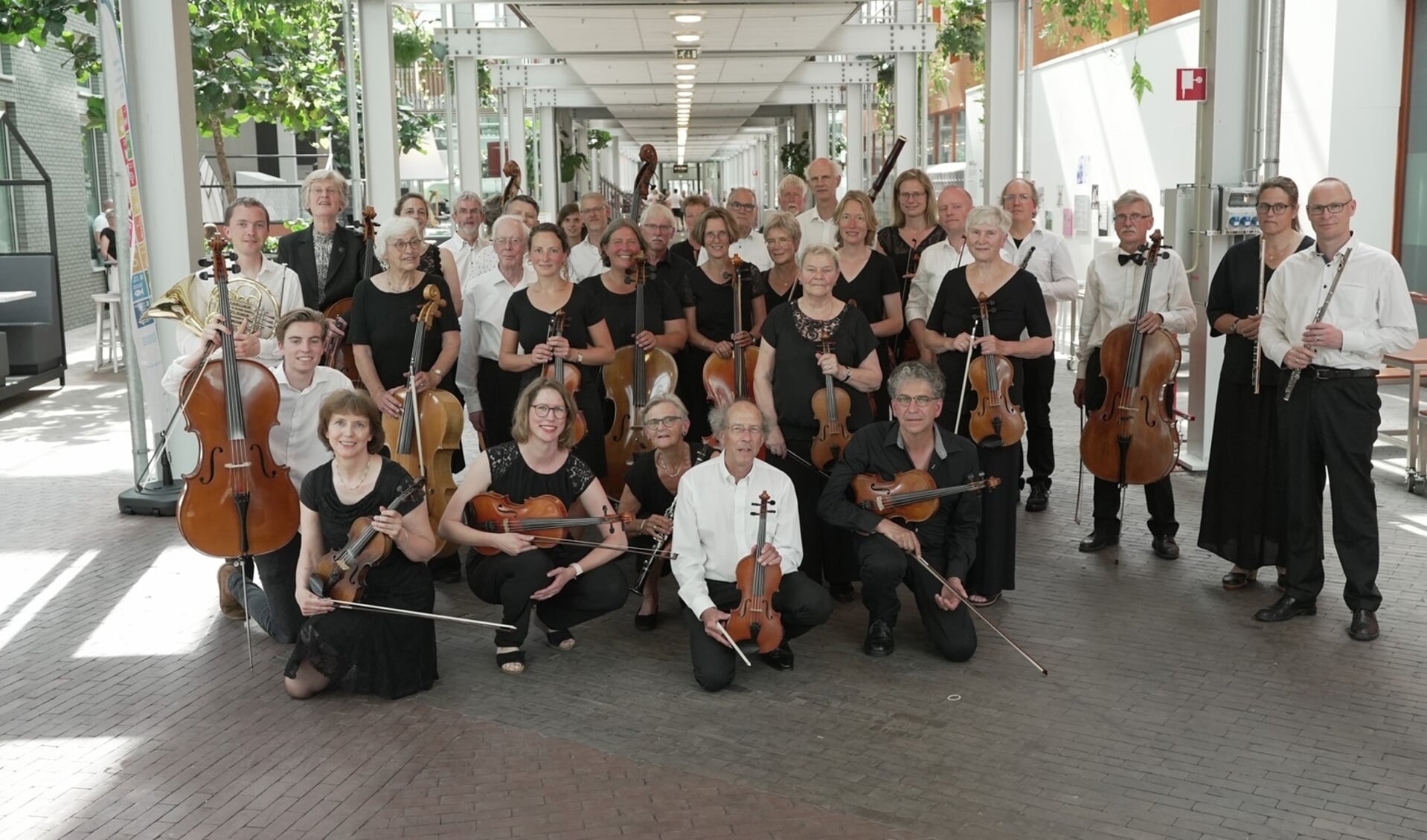 Het Zwols Symfonie Orkest.