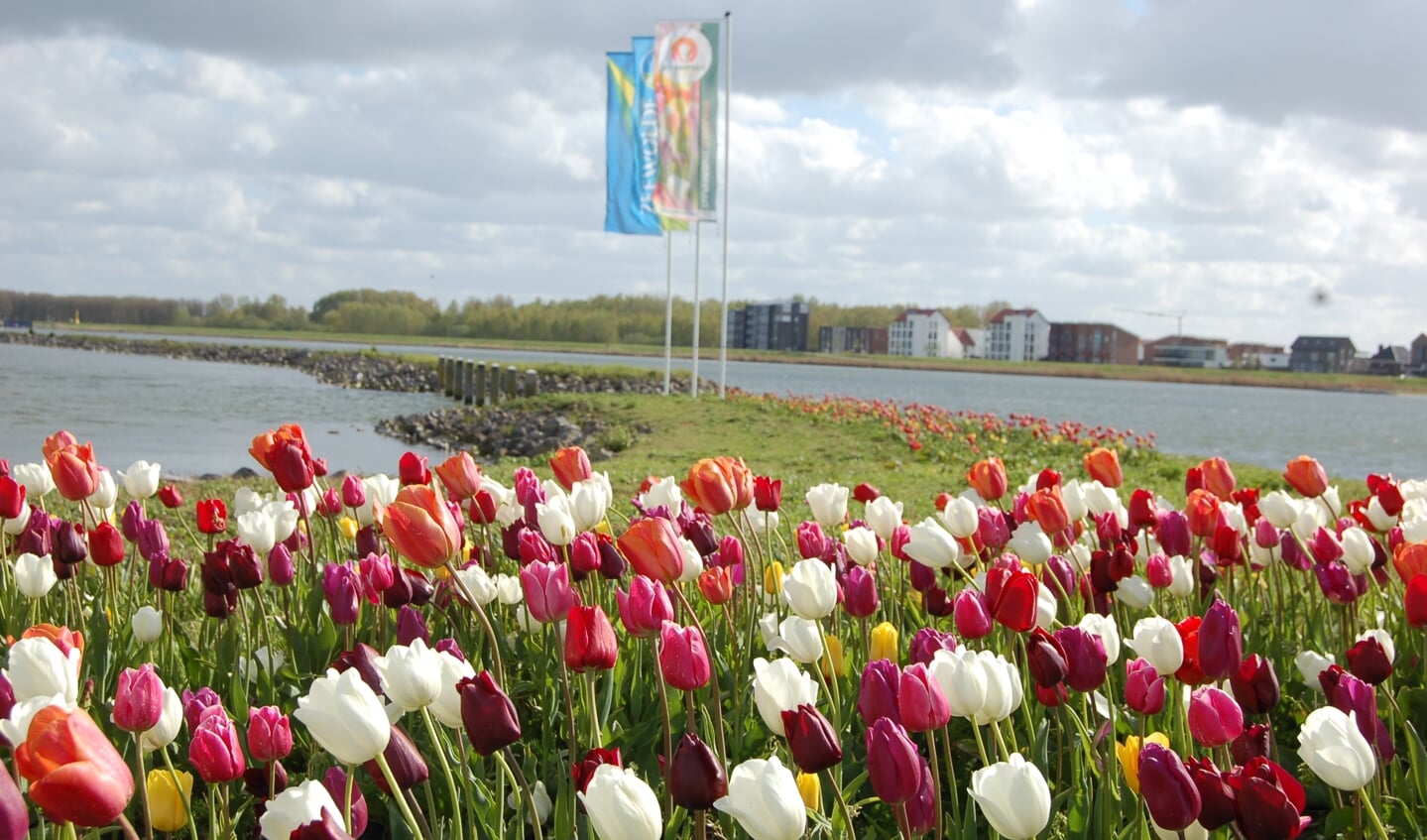 Tulpeiland Zeewolde, onderdeel van de tulpenroute (2022)