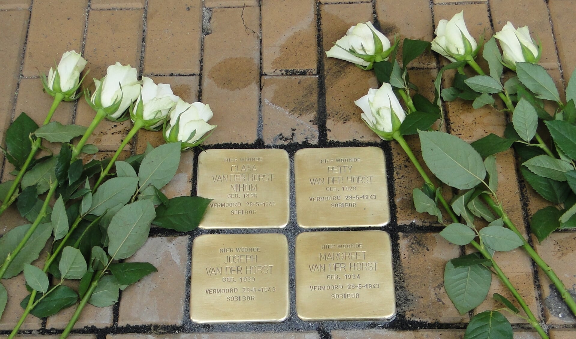 Stolpersteine in Steenwijk