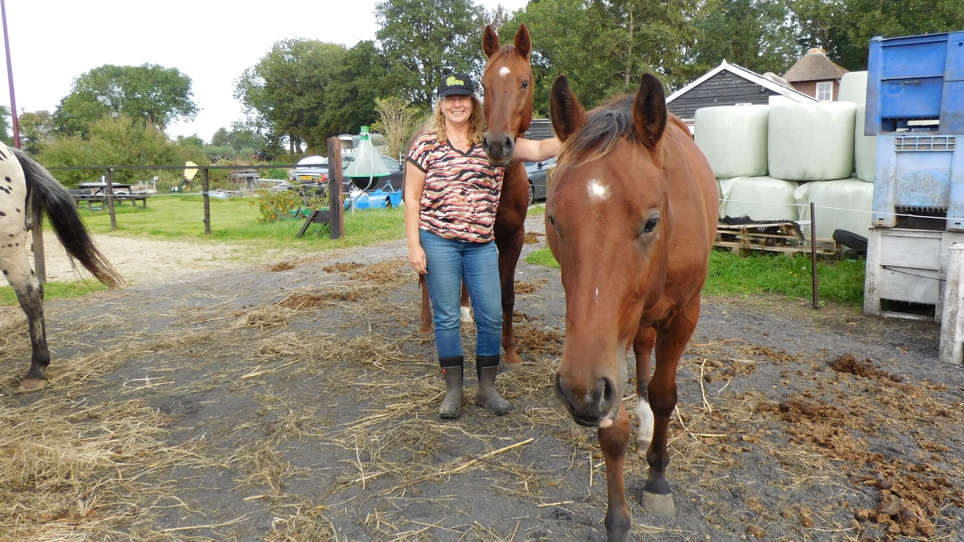 Joke Luitwieler en twee van haar paarden