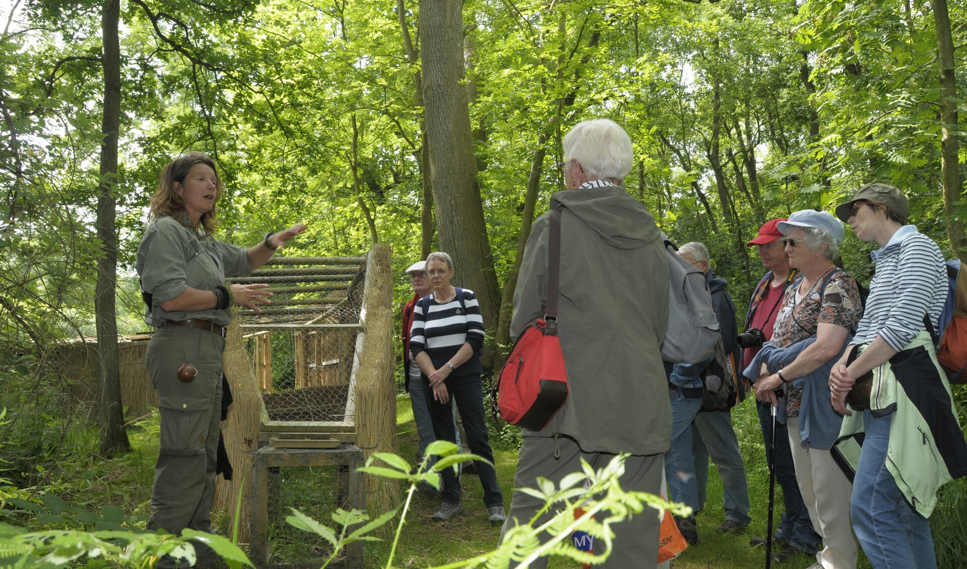 grote otterskooi