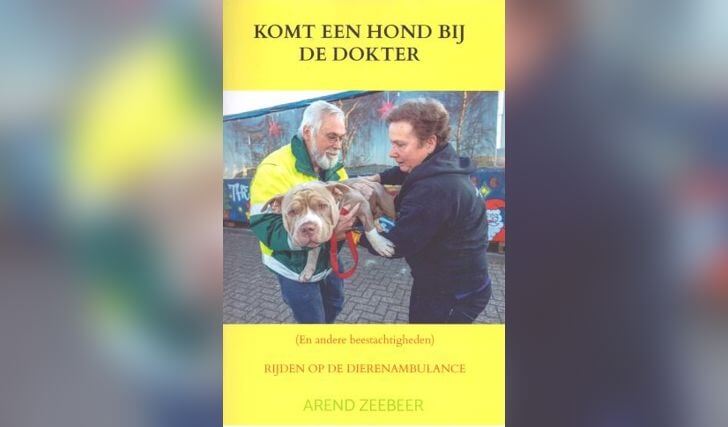 Afbeelding