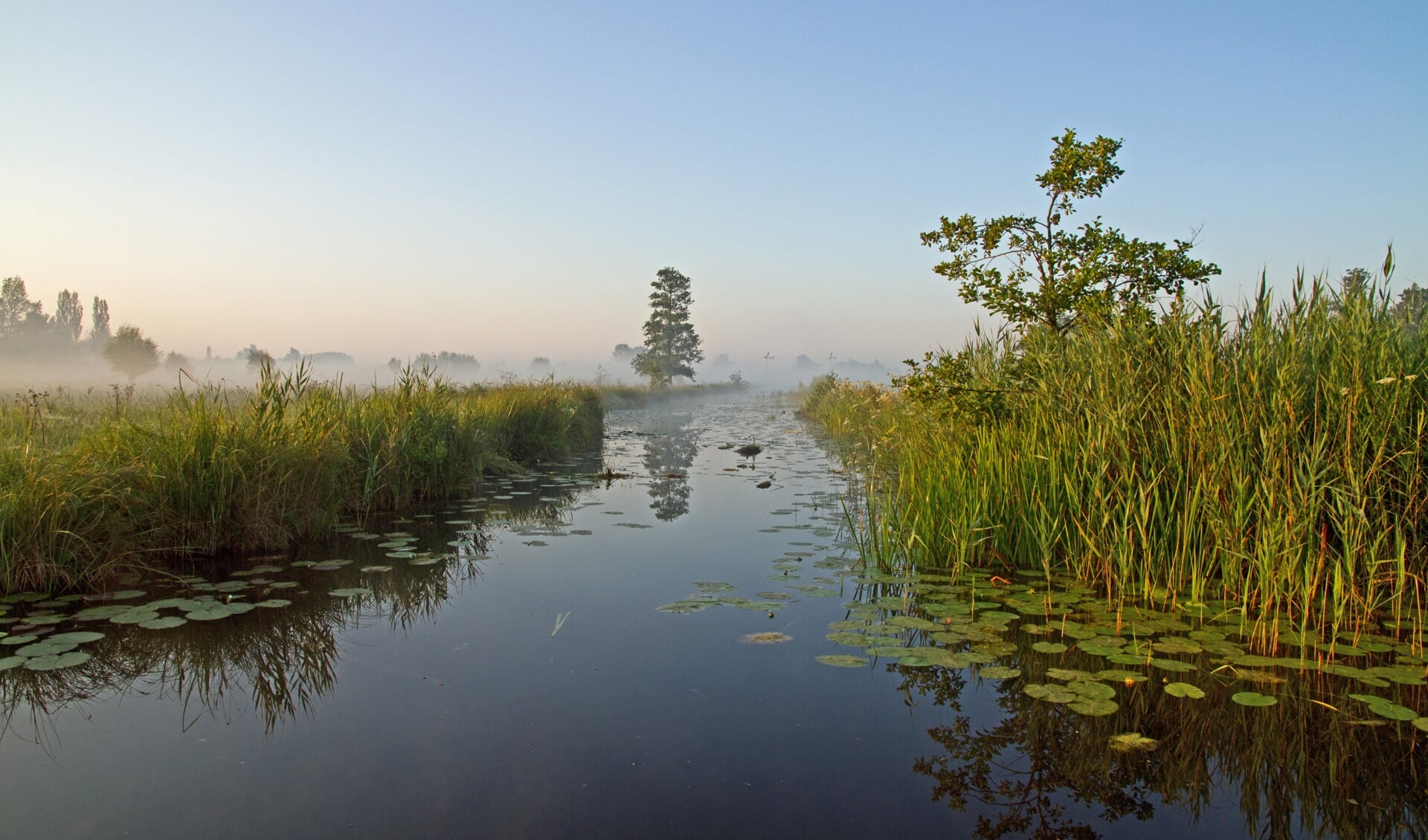 Nieuwkoopse Plassen, Nieuwkoop, Zuid-Holland, Nederland, Europa