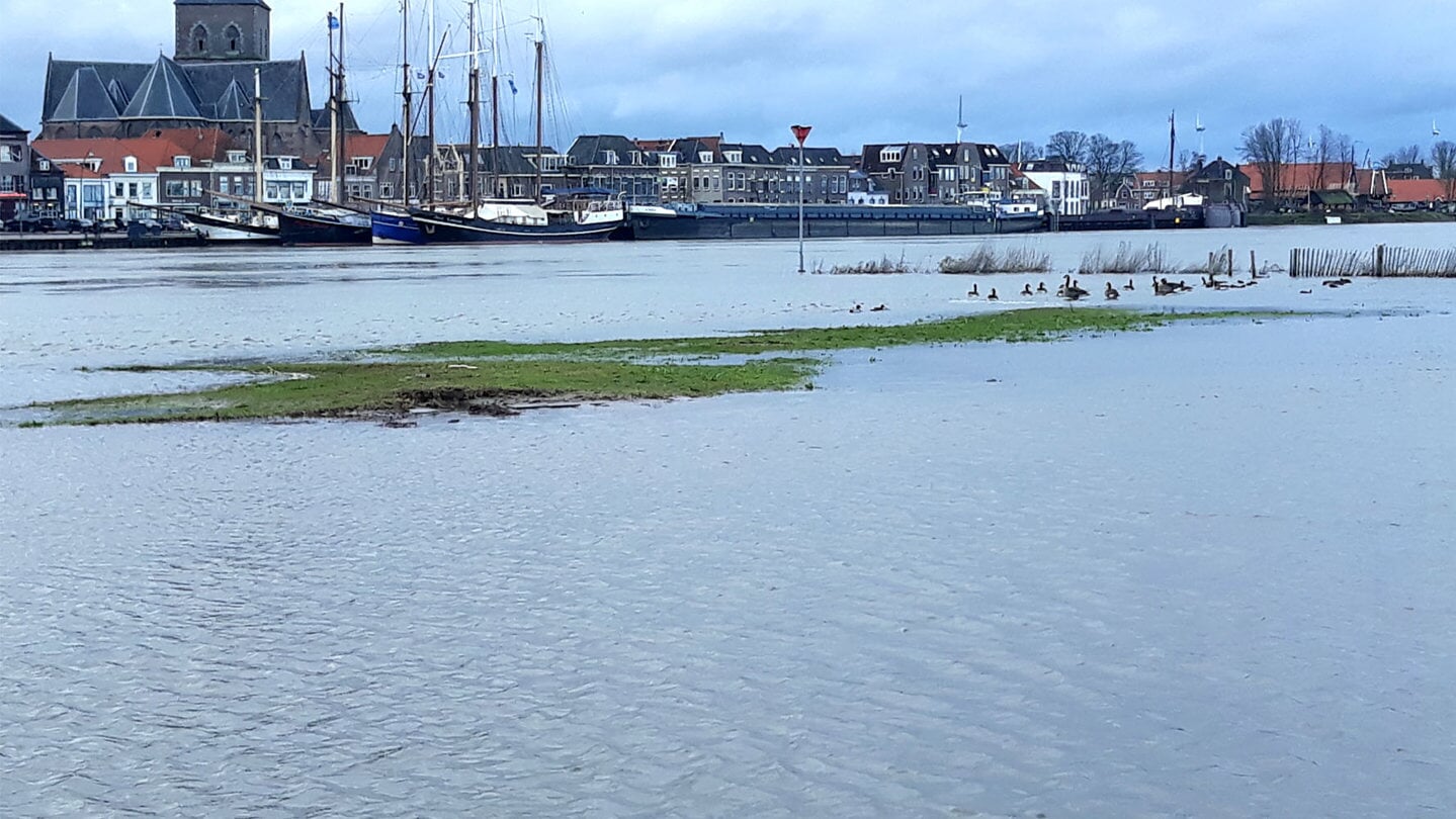 Zal de IJssel in 2040 twee keer zo breed zijn als nu tijdens hoog water?