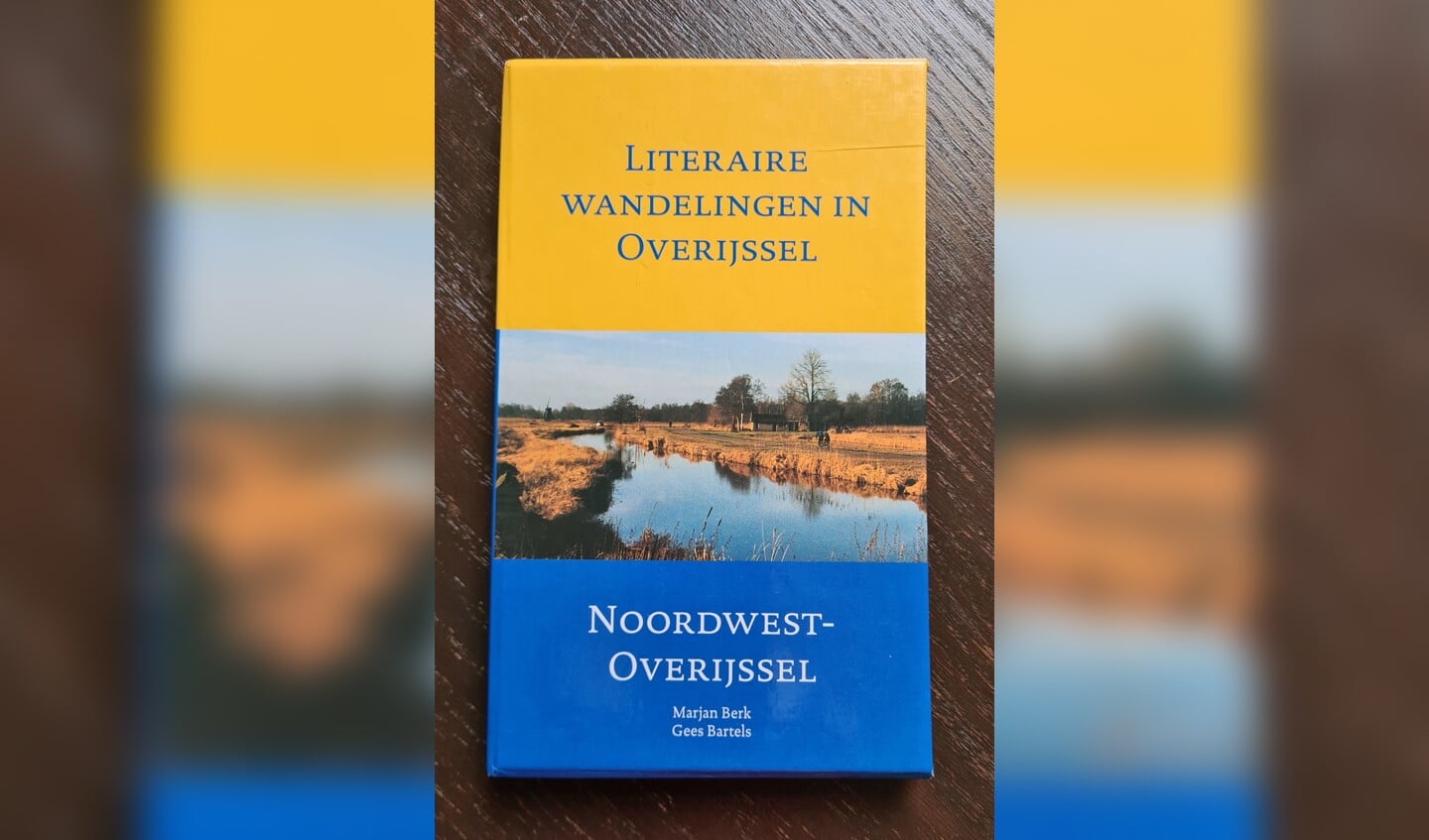 Cover van het boek Literaire Wandingen in Overijssel -