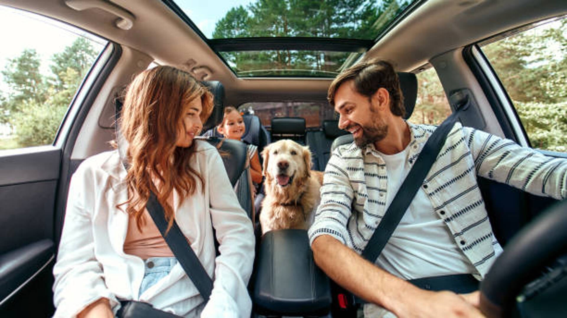 The whole family is driving for the weekend. Mom and Dad with their daughter and a Labrador dog are sitting in the car. Leisure, travel, tourism.