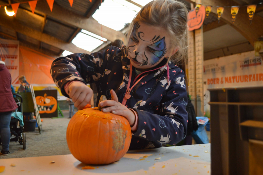 , https://brugnieuws.nl/uploads/ad6b4724989d9aa7059f208a0bf9d25793570bc0.jpg