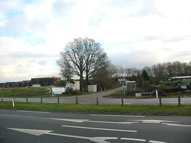 Ook bij Tuincentrum H.Palland op 8 december publieksdag