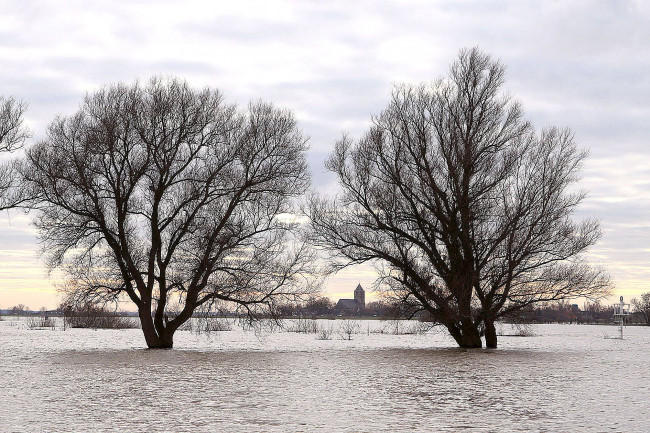 Ruimte voor de Rivier Zwolle houdt ?winterse' fotowedstrijd