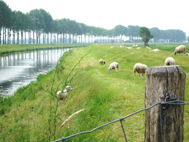 Groot Salland beoordeelt waterkeringen in West-Overijssel: apk voor dijken