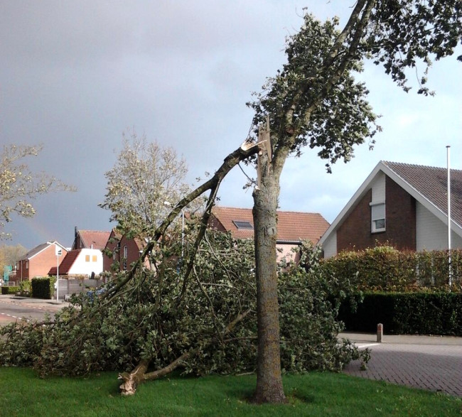 Stormschade in binnenstad Zwolle