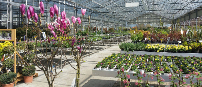 Lente bij Souman
