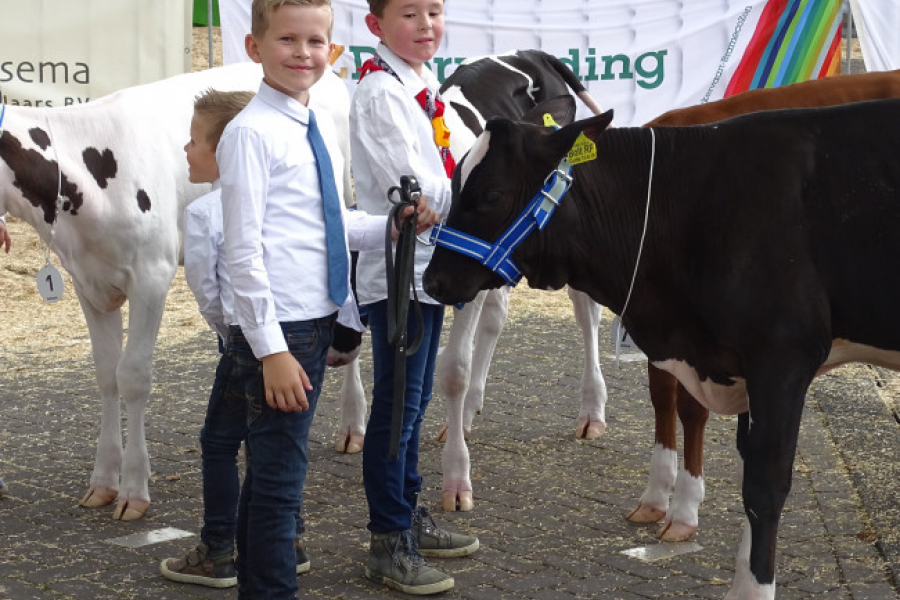 Grote evenementen voorlopig op de lange baan