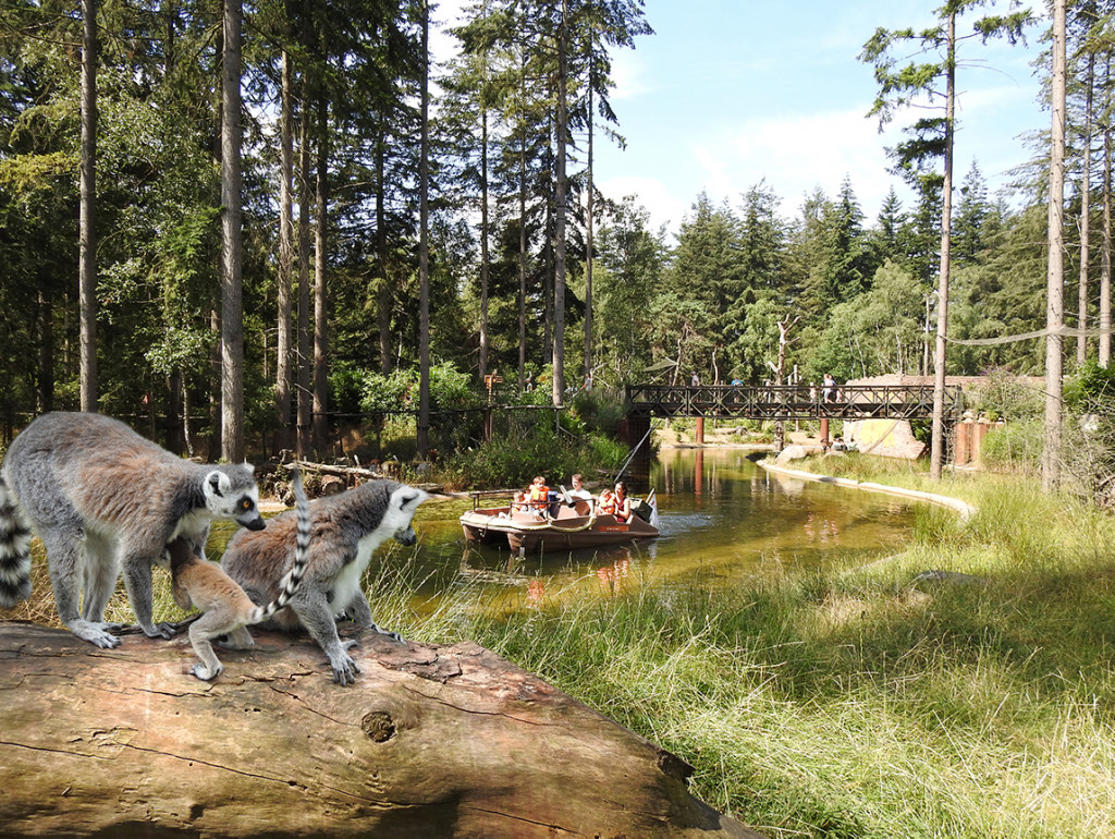 Zomeravonden tussen de dieren in DierenPark Amersfoort
