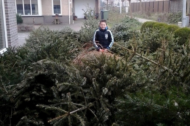 Niels Dam in een zee van kerstbomen.