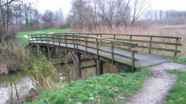 Wisentbos