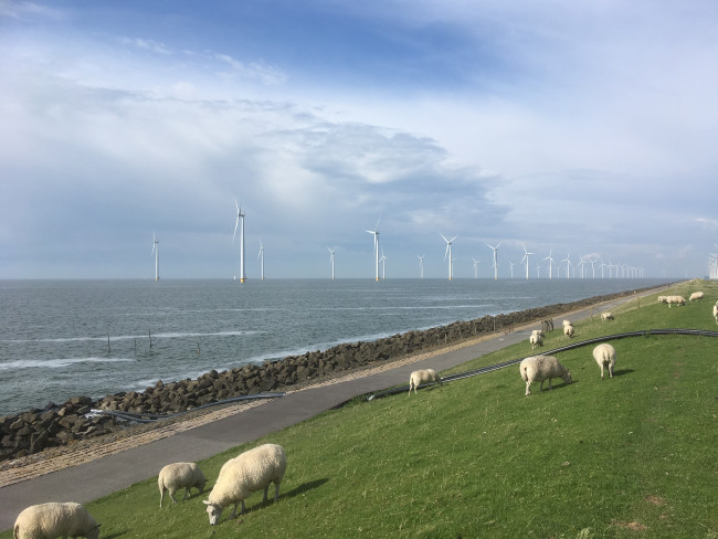 Het windpark bij Urk