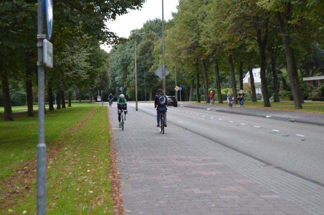 Fietspad langs De Zuid.
