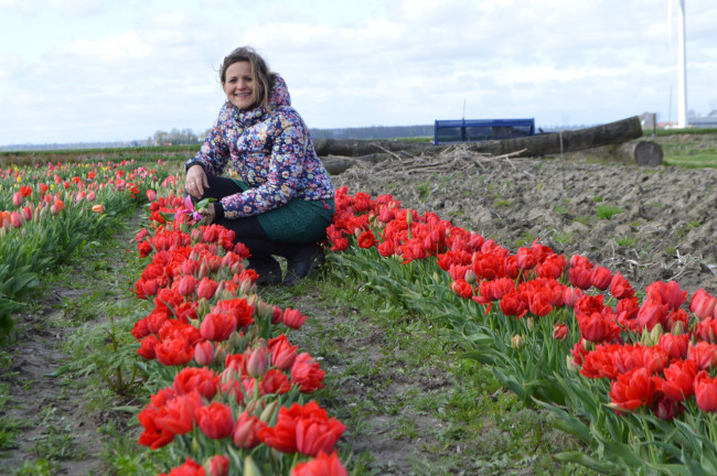 Hanneke Monsma: Tulpenroute is gewoon een ‘gouden dingetje’