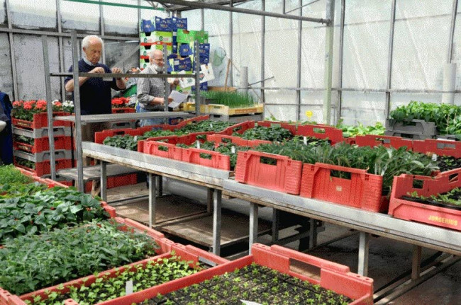 Open Dag bij tuinvereniging Tuinlust