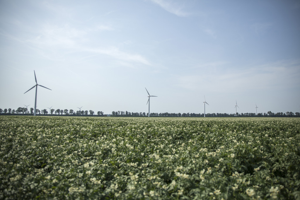 Windplan Blauw vraagt 500 euro per obligatie; Swifterbant als eerste aan de beurt