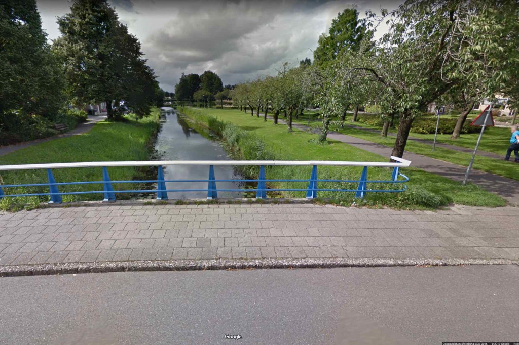 Hoefblad in Kampen.