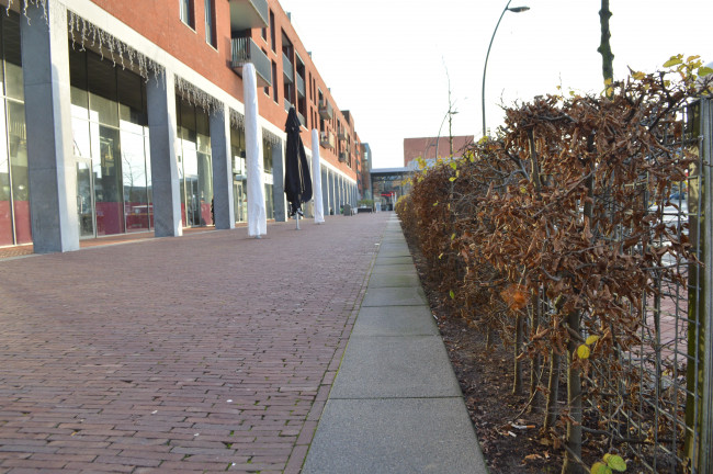 De heg op het Redeplein.