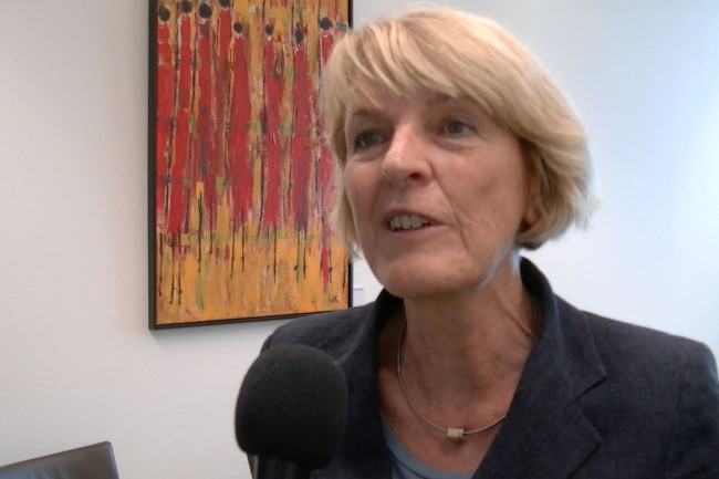 Rieke de Vlieger