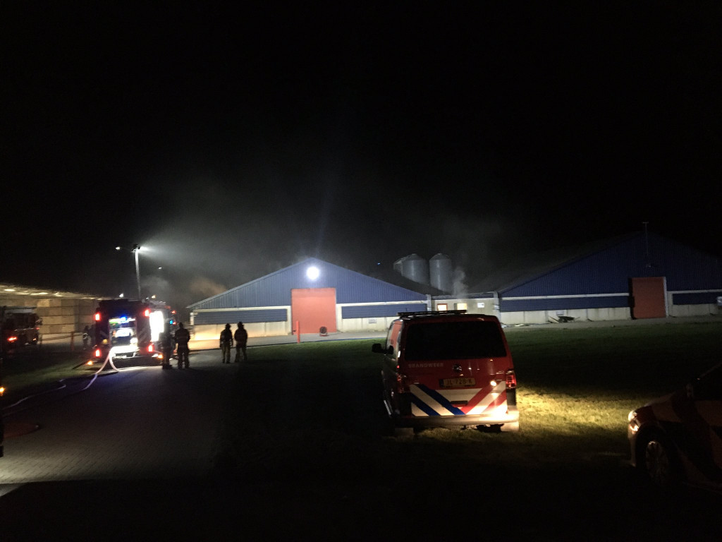 , https://brugnieuws.nl/uploads/5b9787eef71ef2695d31da4a36386a1742c2f349.jpg