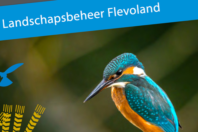 De pdf over het Rivierduinpad