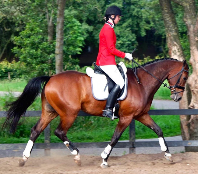 Alieke Leenders met haar paard Flevo ALL.