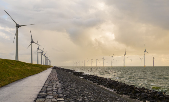 Eén van de winnende foto's.