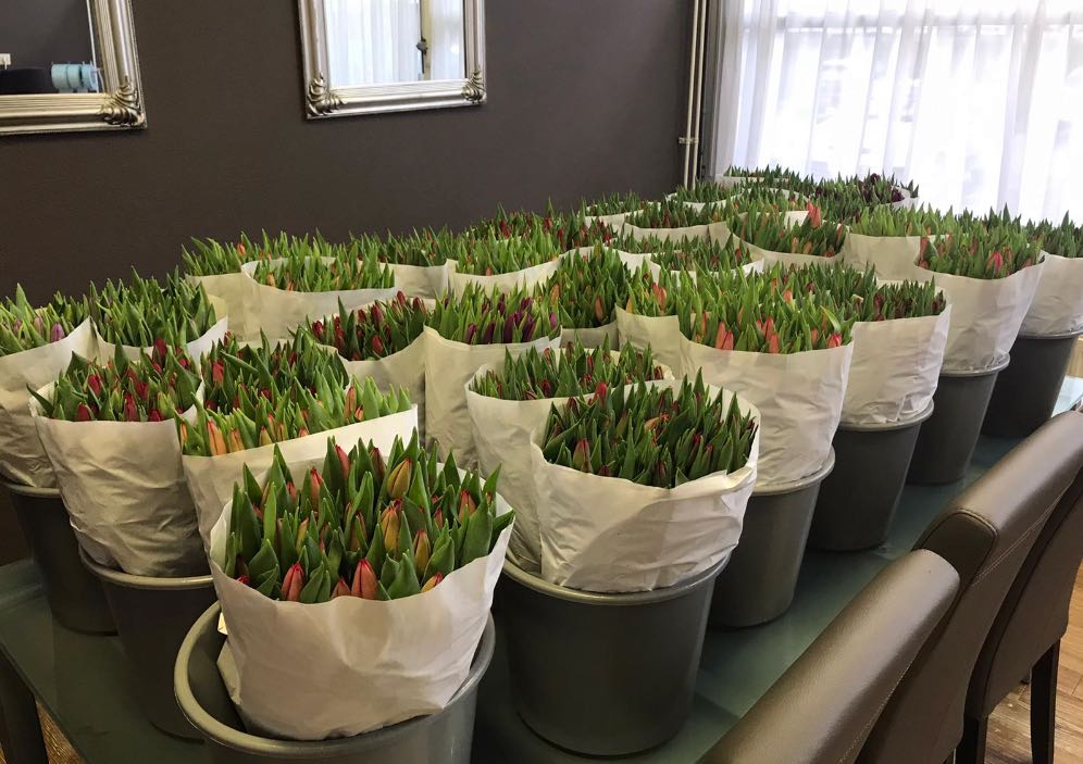 Telers bezorgden tulpen bij huisartsen.