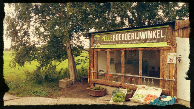 Boerderij StadsZicht in de steigers
