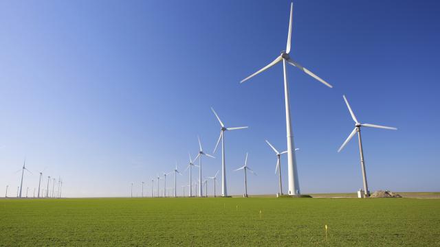 Felle weerstand tegen windmolens in Marle